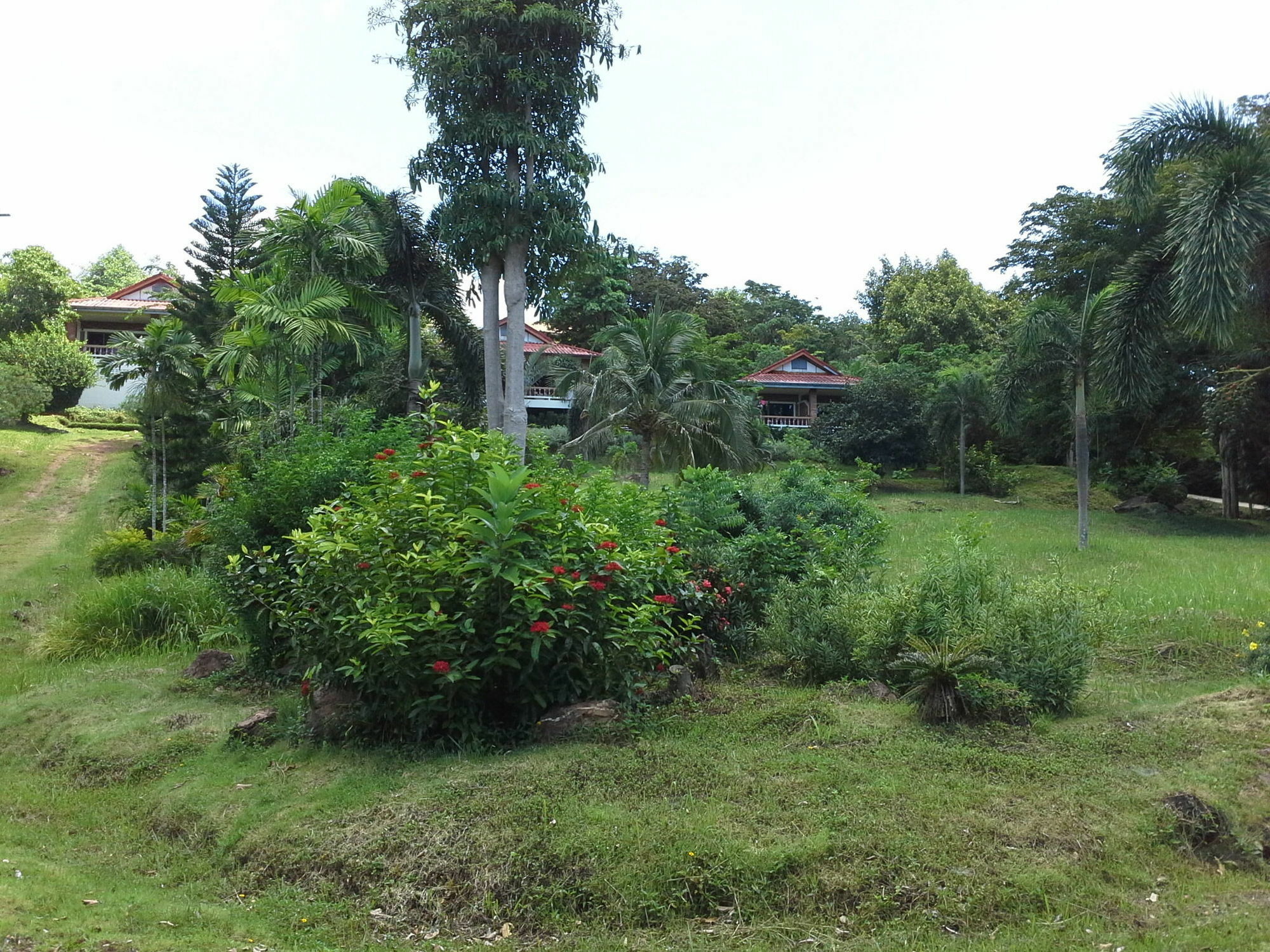 Freedom Estate Sea View Apartments Ko Lanta Exterior foto